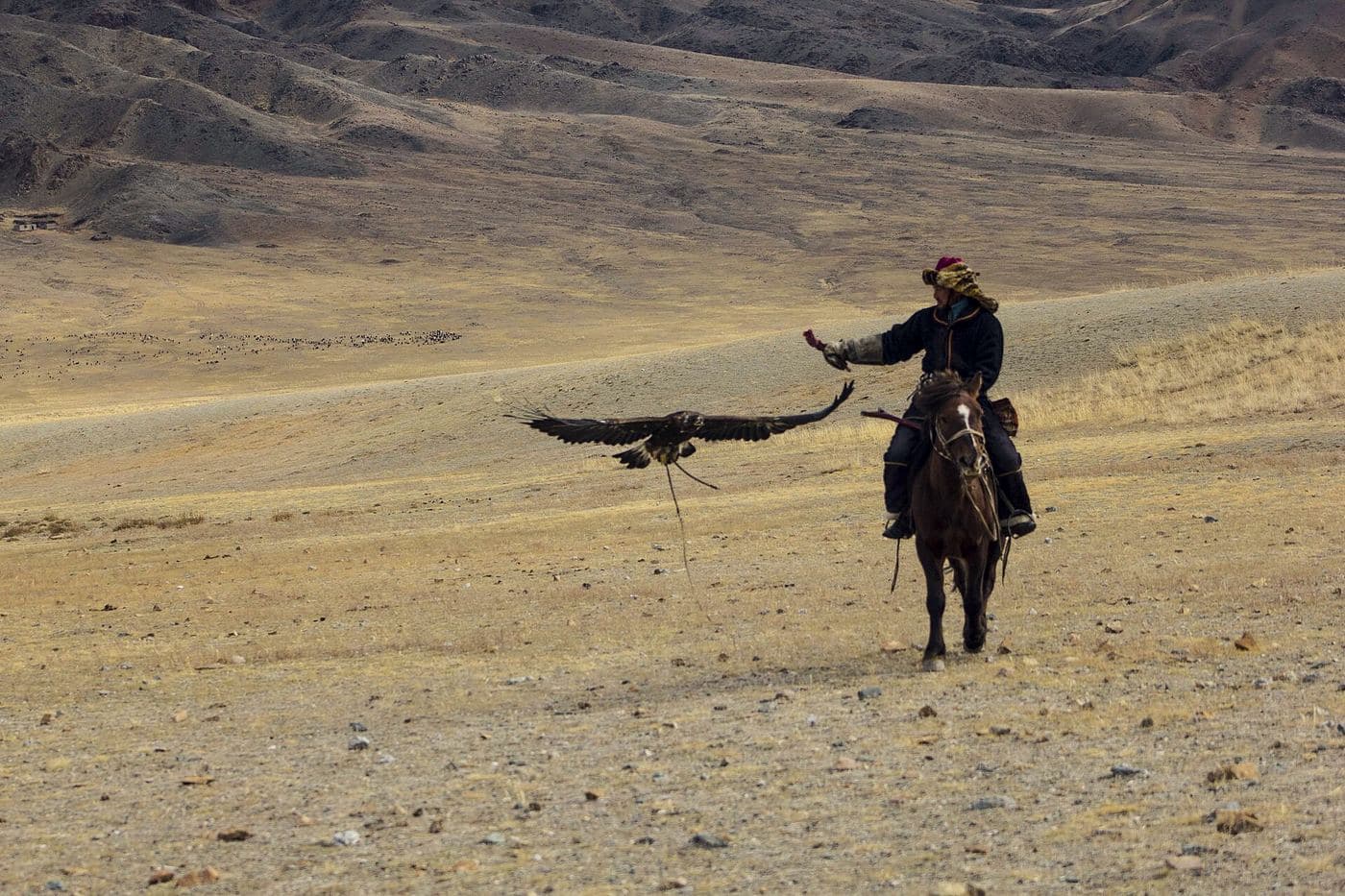 Golden Eagle traditional and folk festival competition part. Western Mongolia, Bayan Ulgii province